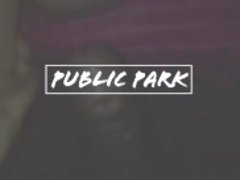Public park (trailer)