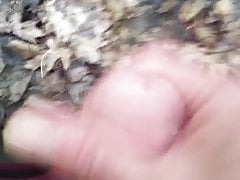 Masturbating outside in the woods, almost caught.