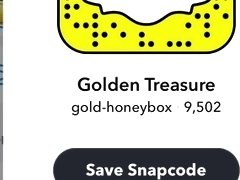 Houston Tx Snapchat freak Fucks Plugs SnapChat: Gold-honeybox