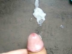 Edged big glans Penis covered with precum ejaculates thick cum load in kitchen